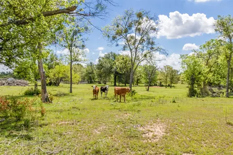 197 County Road 268, Cameron, TX 76520 photo 37