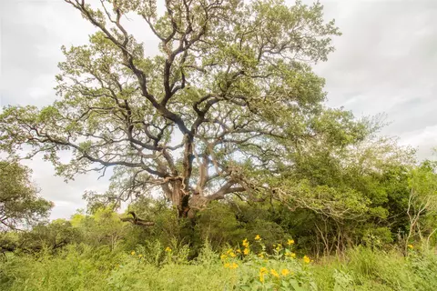 862 Dowdy Rd, Seguin, TX 78155