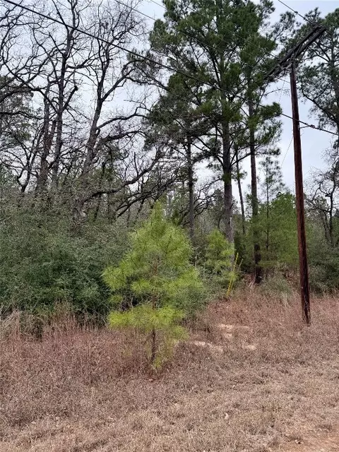000 Makaha Dr, Bastrop, TX 78602