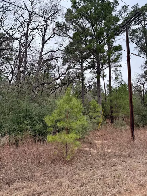 000 Makaha Dr, Bastrop, TX 78602