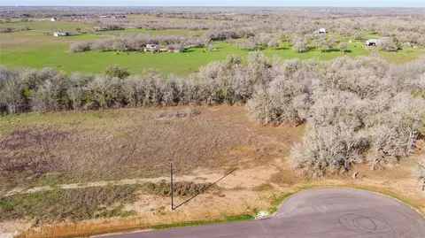 175 Azalea Ct, Dale, TX 78616