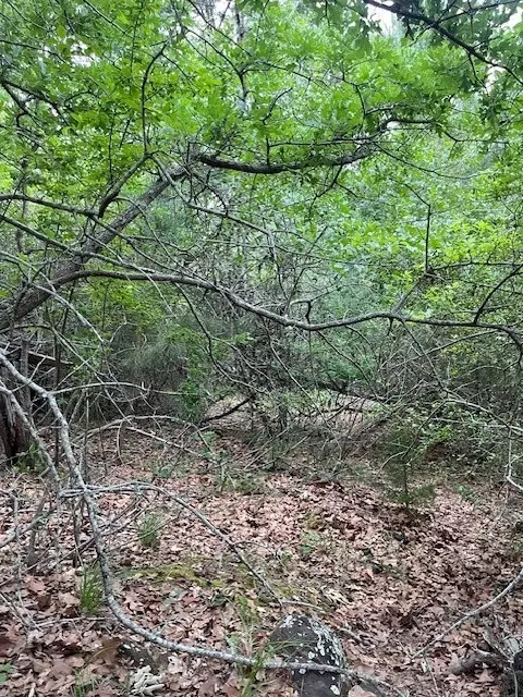 lot1603 Ulupau Cir, Bastrop, TX 78602