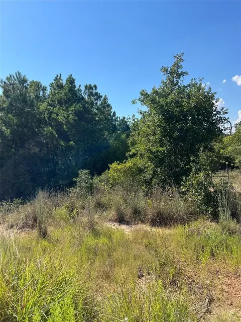 tbd Poi Ct, Bastrop, TX 78602