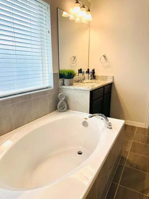 Bath - 862 Leadtree Loop, Buda, TX 78610 photo 4 of 6