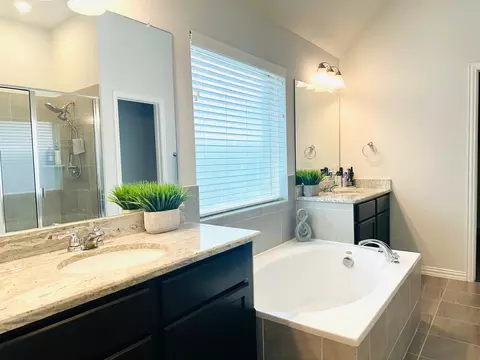 Bath - 862 Leadtree Loop, Buda, TX 78610 photo 5 of 6