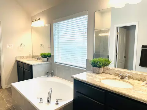 Bath - 862 Leadtree Loop, Buda, TX 78610 photo 2 of 6