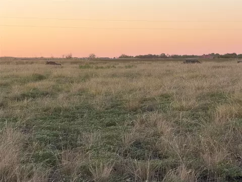 200 Tigerlily Way, Thrall, TX 76578