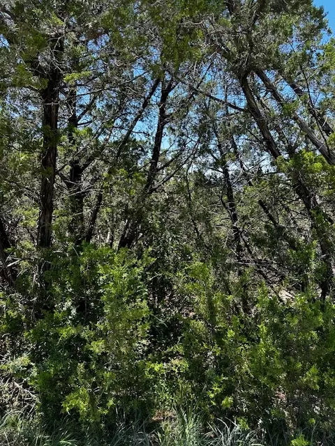 8402 Bronco Ln, Lago Vista, TX 78645