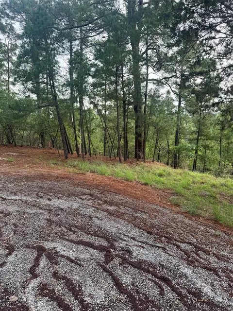 lot1492 Haleakala, Bastrop, TX 78602