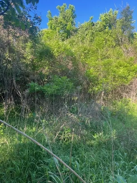 167 Kahana Ln, Bastrop, TX 78602