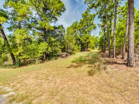 00 Makaha Dr, Bastrop, TX 78602