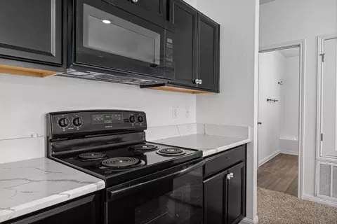 Kitchen - 151 Shiro Dr, Kyle, TX 78640 photo 5 of 5