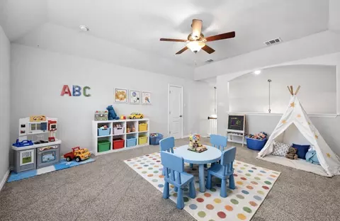 Other - 392 Algaroba Loop, Buda, TX 78610 photo 3 of 9