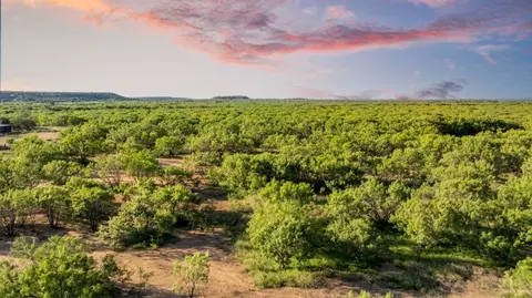 2186 Fm 1028, Rochelle, TX 76872