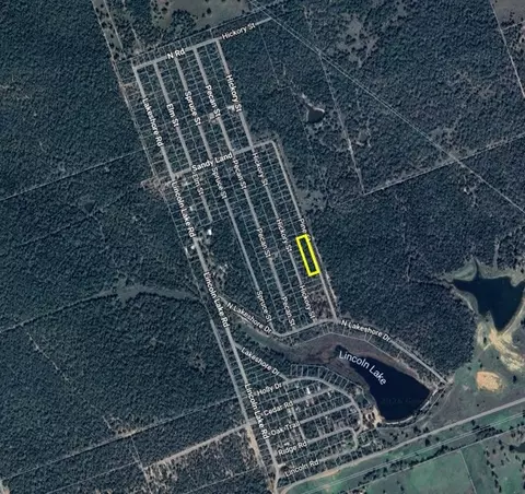 tbd Pine St, Paige, TX 78659
