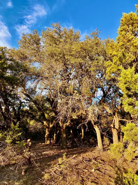 lot94 E Dripping View Ct, Blanco, TX 78606 photo 5