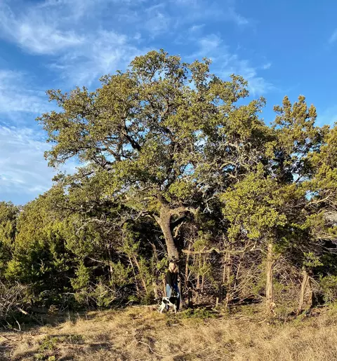 lot94 E Dripping View Ct, Blanco, TX 78606 photo 4