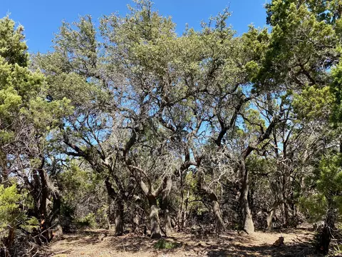 lot94 E Dripping View Ct, Blanco, TX 78606 photo 6