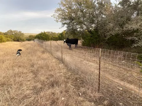lot94 E Dripping View Ct, Blanco, TX 78606 photo 3