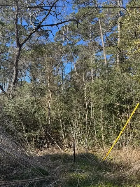 Undisclosed, Montgomery, TX 77356