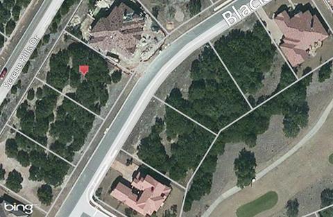 203 Black Wolf Run, Austin, TX 78738 photo 3
