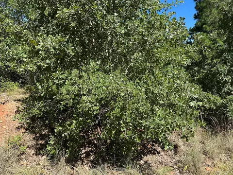 tbd N Pahihi Dr, Bastrop, TX 78602