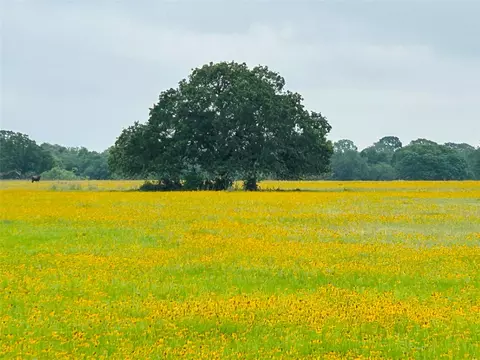 tbd Lot 4 County Road 127 Rd, Ledbetter, TX 78946