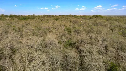 1710 Bock Rd, Buda, TX 78610 photo 16