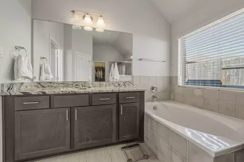 Bath - 918 Leadtree Loop, Buda, TX 78610 photo 3 of 4