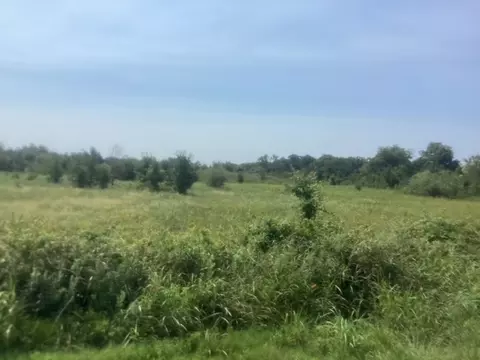 tbd Fm 712, Marlin, TX 76661
