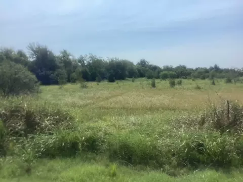 tbd Fm 712, Marlin, TX 76661