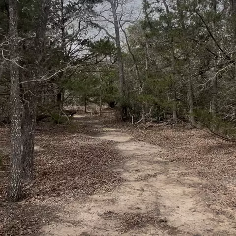 lot10 S Old Potato Rd, Paige, TX 78659