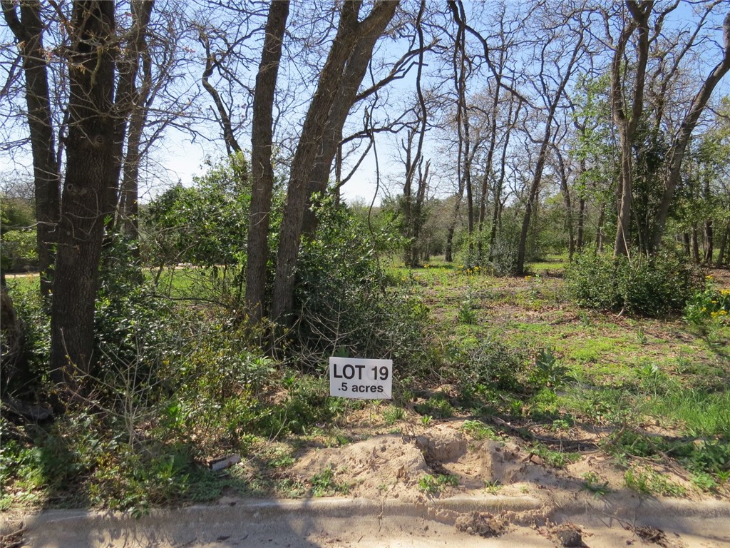 0 - lot 19 Ortega St  