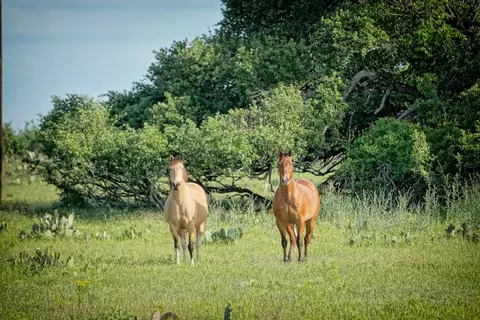 lot200 Swamp Creek Cv, Burnet, TX 78611