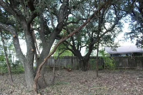 11502 Bee St, Jonestown, TX 78645