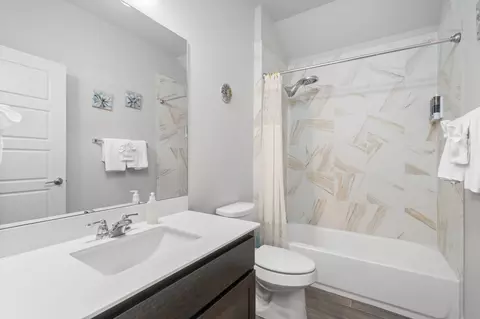 Bath - 3543 Pauling Loop, Round Rock, TX 78665 photo 4 of 4