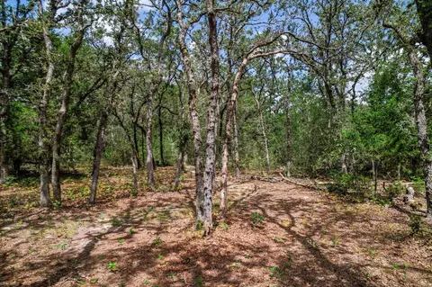 tbd Christensen Rd, Elgin, TX 78621 photo 3