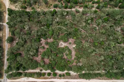 tbd Christensen Rd, Elgin, TX 78621 photo 8