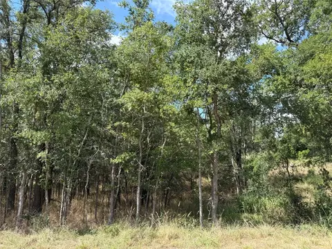 103 W 105 W Kikipua Ln, Bastrop, TX 78602