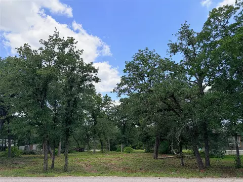 lot S 9091 Arapaho Dr, Smithville, TX 78957