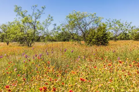 13 5ac County Road 3300, Kempner, TX 76539