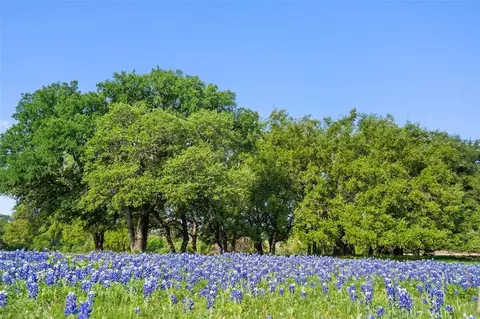 27132 Founders Pl, Spicewood, TX 78669