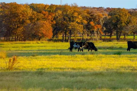 tbd Tx-123, Seguin, TX 78155