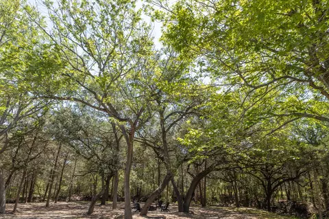 2088 Baca Loop, Flatonia, TX 78941 photo 20