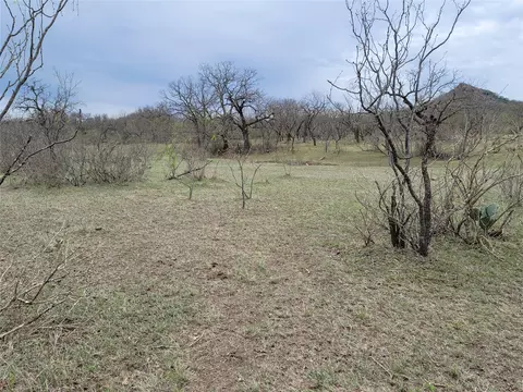 293 Threadgill Ln, Valley Spring, TX 76885 photo 4