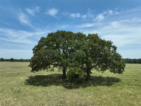 lot1 Tbd County Road 127 Rd, Ledbetter, TX 78946