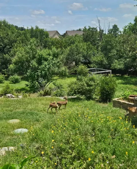10210 Twin Lake Loop, Dripping Springs, TX 78620