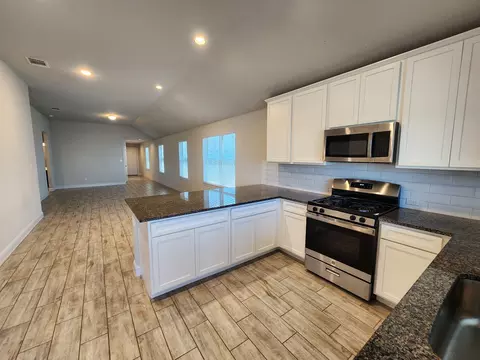 Kitchen - 313 Gaida Loop Loop, Georgetown, TX 78628 photo 3 of 3