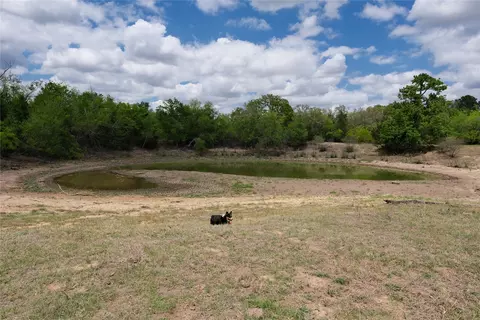 446 Herron Trl, Mcdade, TX 78650 photo 10