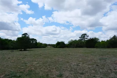 446 Herron Trl, Mcdade, TX 78650 photo 17